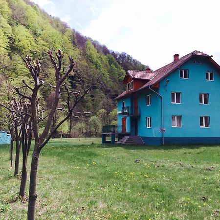 Casa Verde Hotell Rîu de Mori Eksteriør bilde