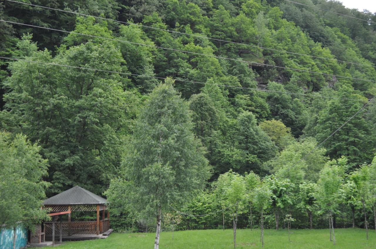 Casa Verde Hotell Rîu de Mori Eksteriør bilde