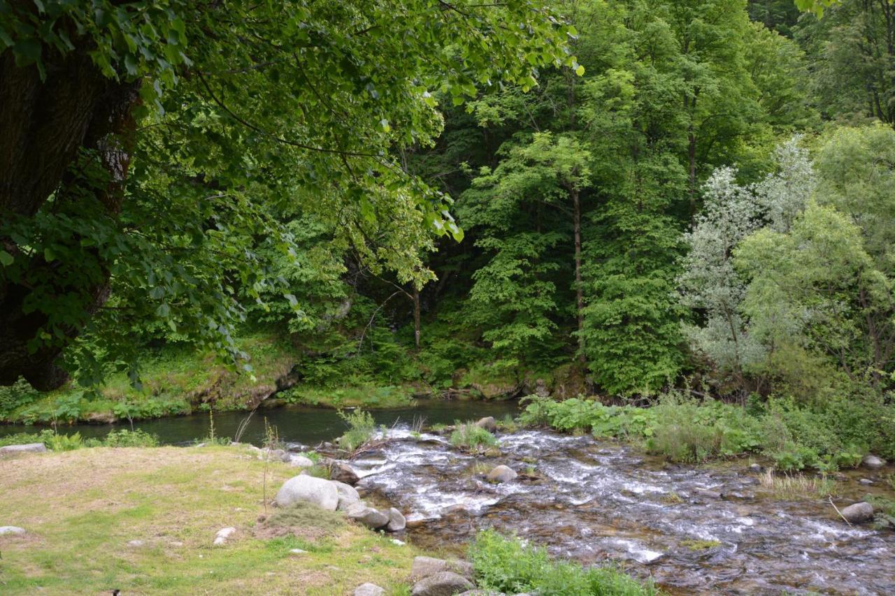 Casa Verde Hotell Rîu de Mori Eksteriør bilde
